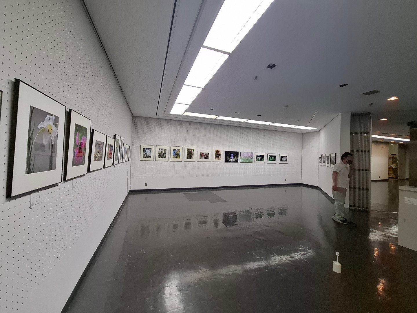 【台日交流展】日本埼玉近代美術館MOMAS的建築格柵中的光影詩篇-第49回《埼玉現展》