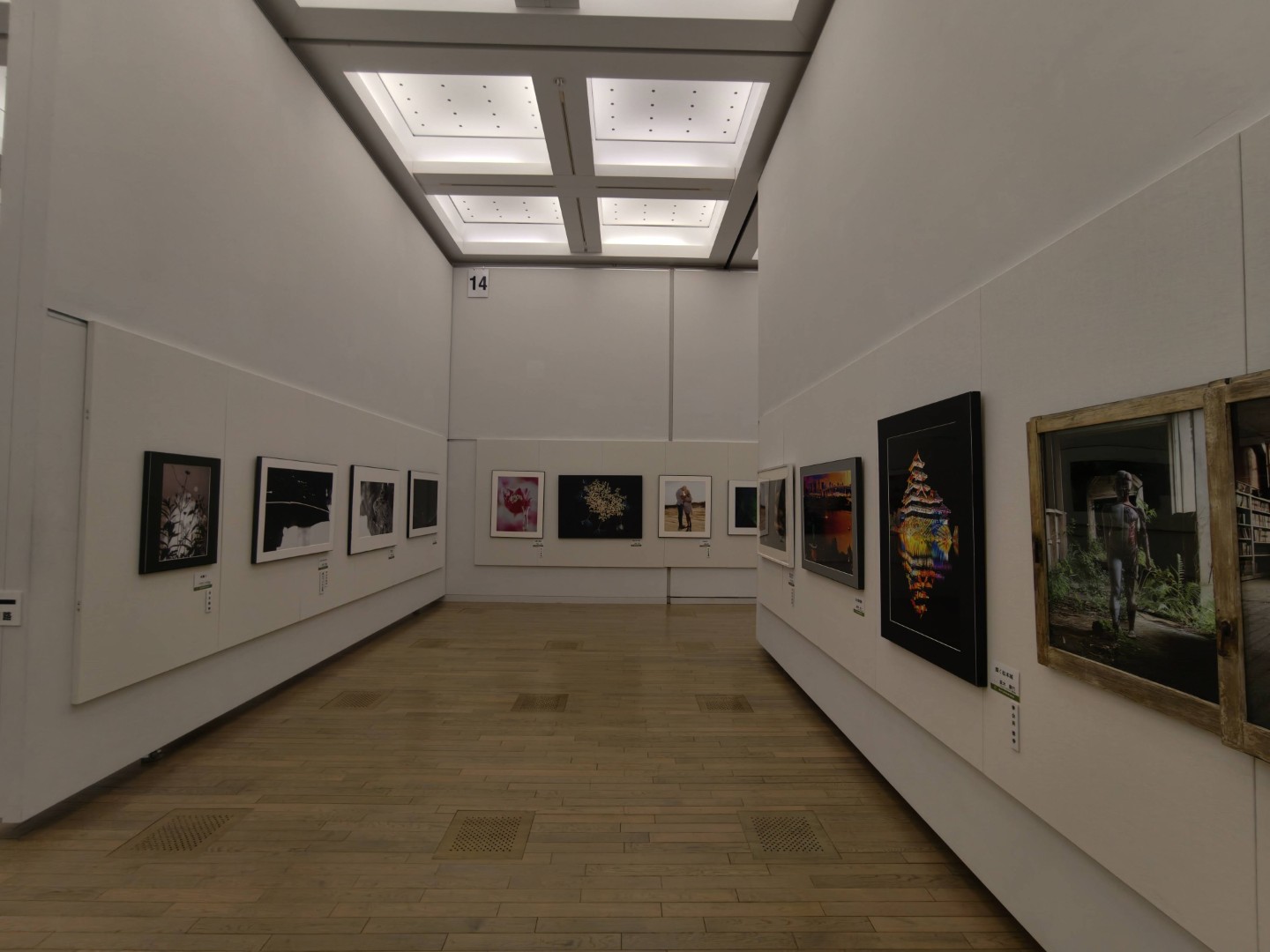 日本82回現展-2026年日本國立新美術館展-現場展示