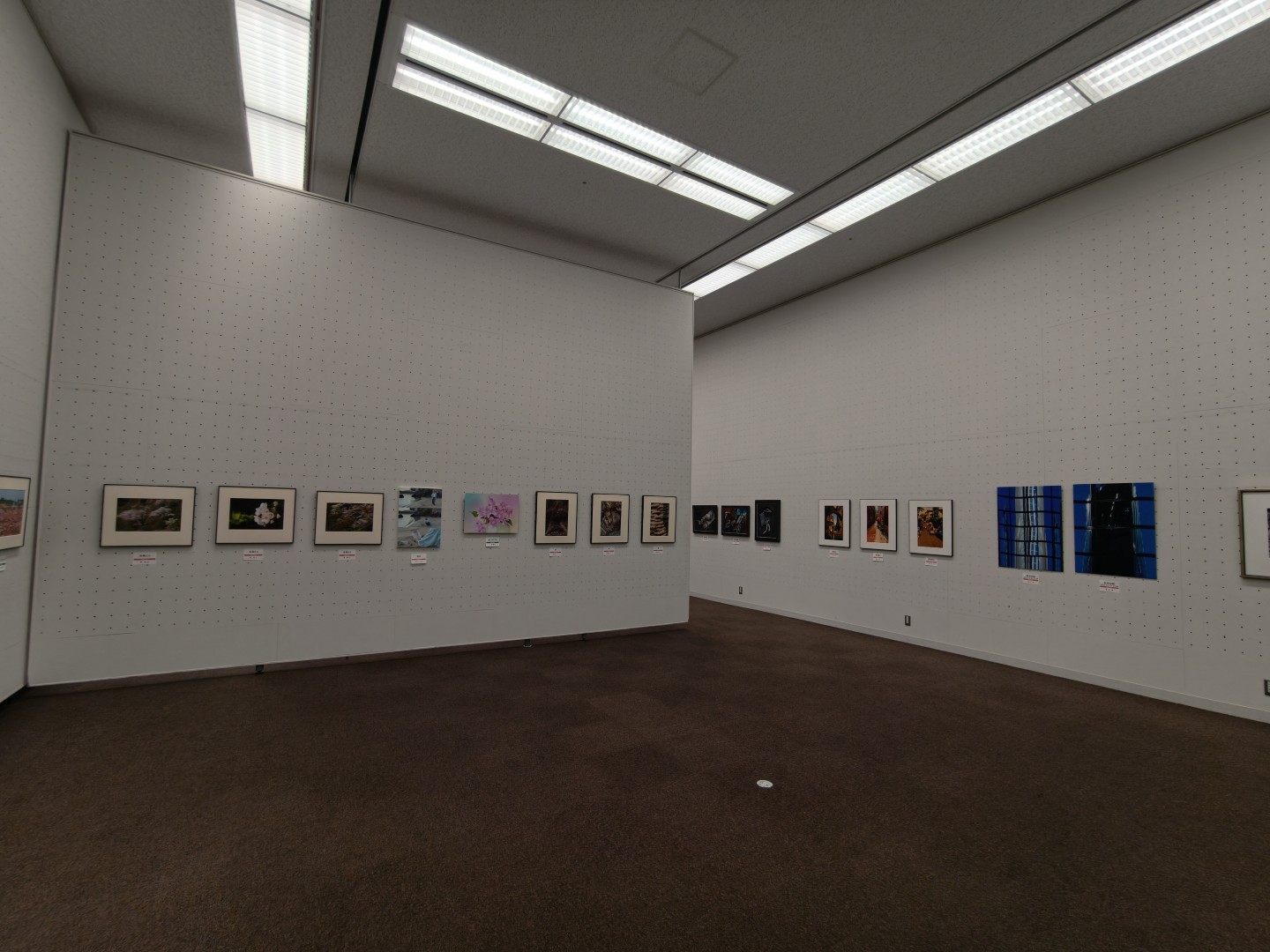 第14回東京現展-日本國立東京都美術館展場現場