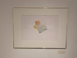 2024 年 NAU21會員展