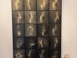 2024 年 NAU21會員展