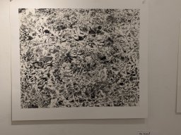2024 年 NAU21會員展
