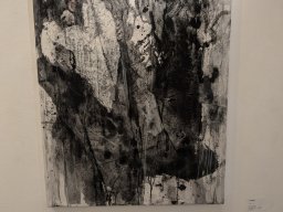2024 年 NAU21會員展