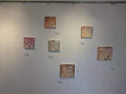 2024 年 NAU21會員展