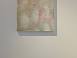 2024 年 NAU21會員展