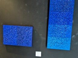 2024 年 NAU21會員展