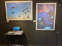 2024 年 NAU21會員展